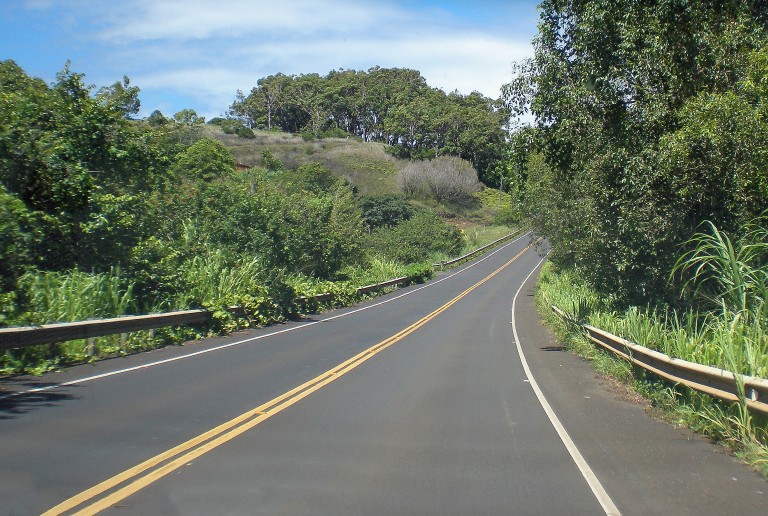 The Road To Hana, Trees, Plants, And Partly Cloudy Sky