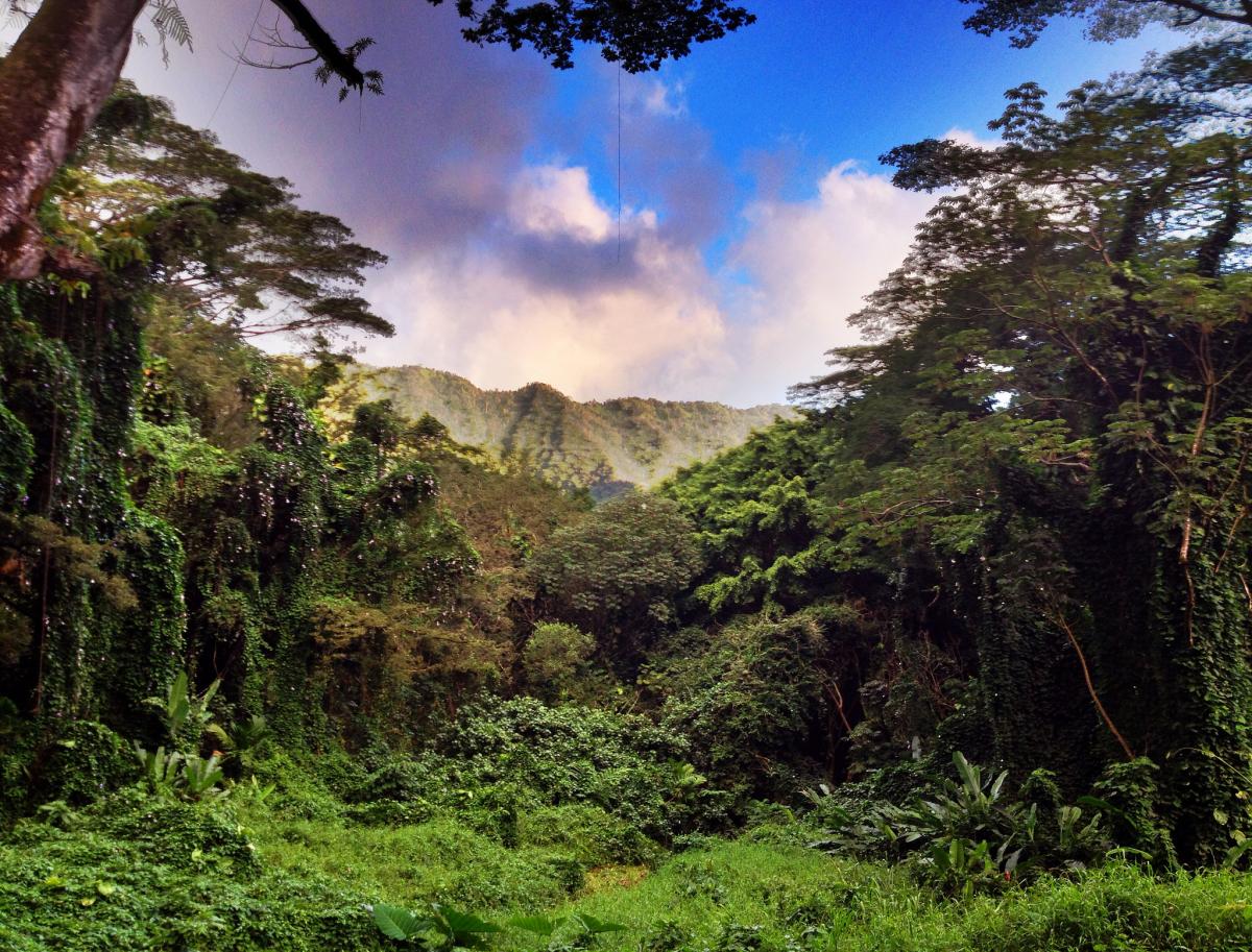 best hikes hawaii magazine 2016