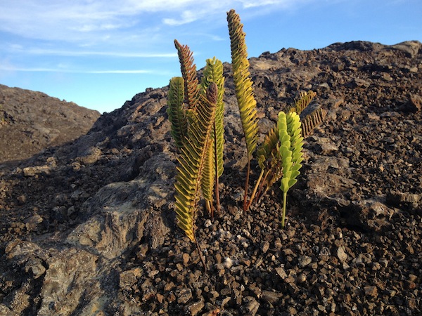 11032C86-155D-4519-3E10809C30BC9F19