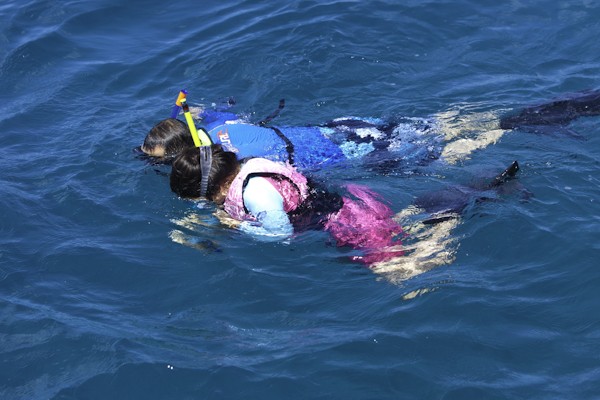 Waikiki_lunch_and_snorkel_catamaran_sail Waikiki_lunch_and_snorkel_catamaran_sail