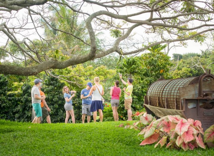 Best Farm Tours Hawai‘i Island