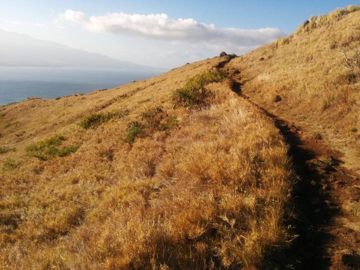 lahaina pali hike