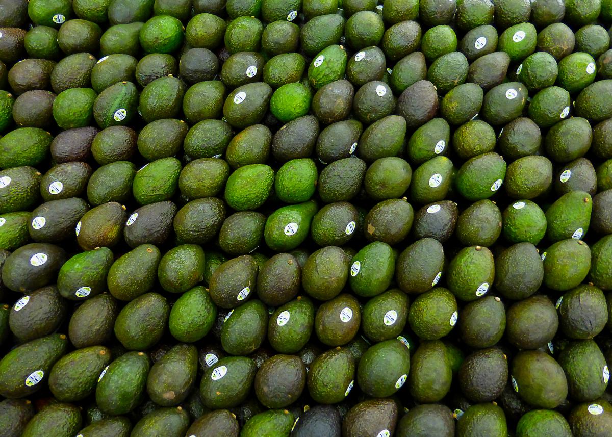 big island hawaii avocados