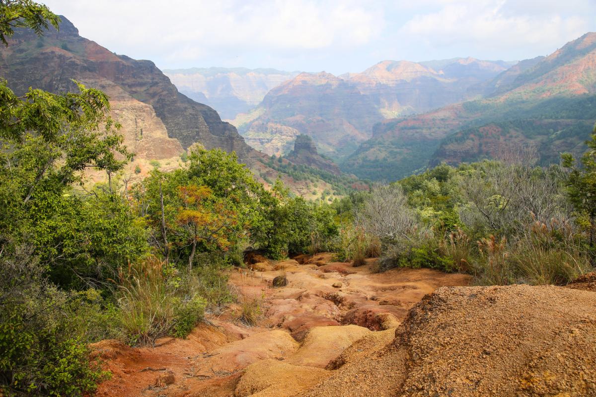 kauai kukui trail waimea canyon