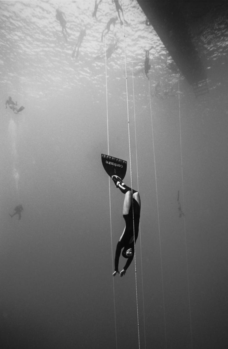 wayne-levin-underwater-photography