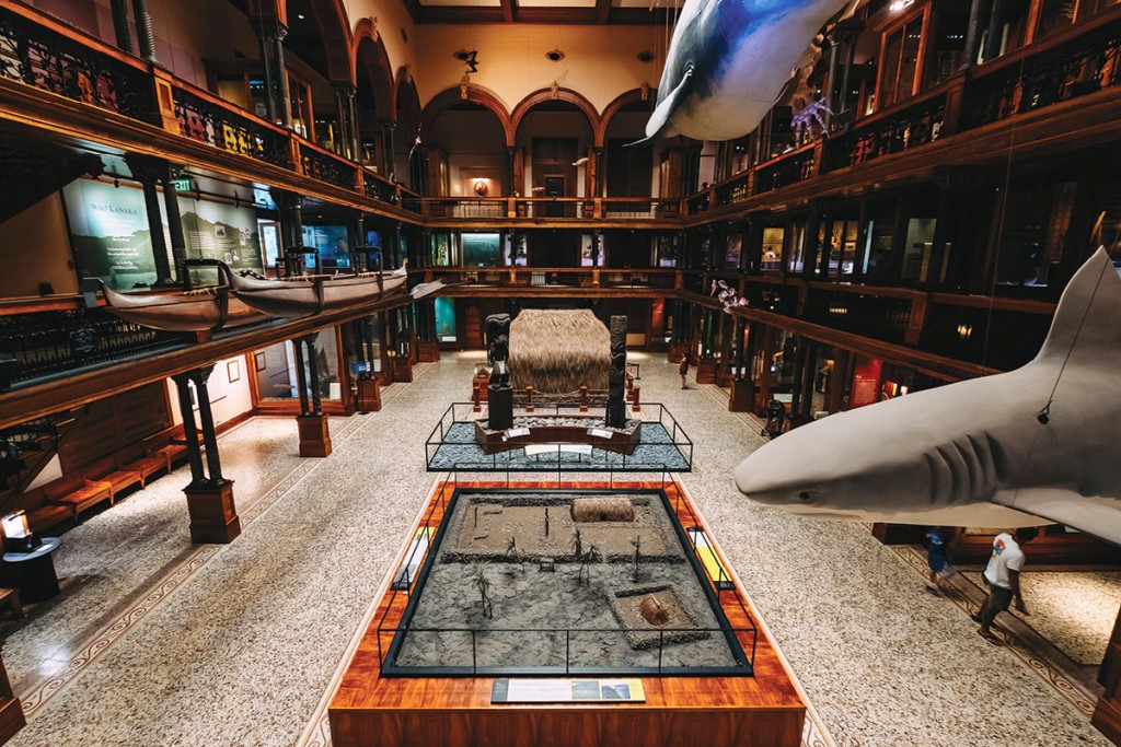 Activities_Bishop-Museum