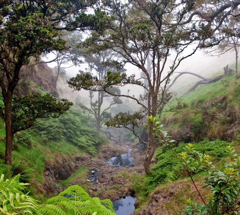 Hawaii_Oahu_Maui_Kauai_Big Island