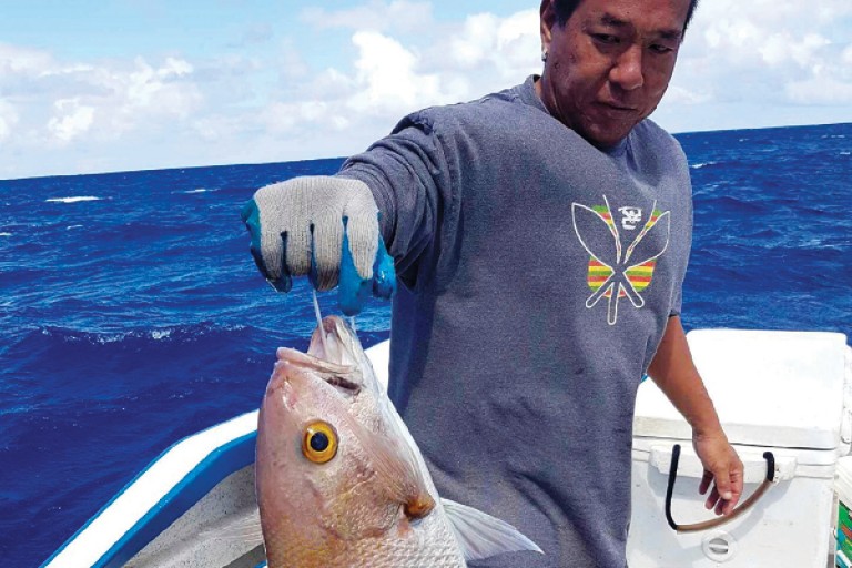 Banner Fish