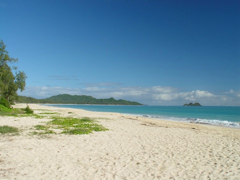 Hawaii_Oahu_Maui_Big_Island_beach