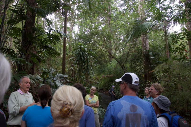 kona cloud forest hawaii