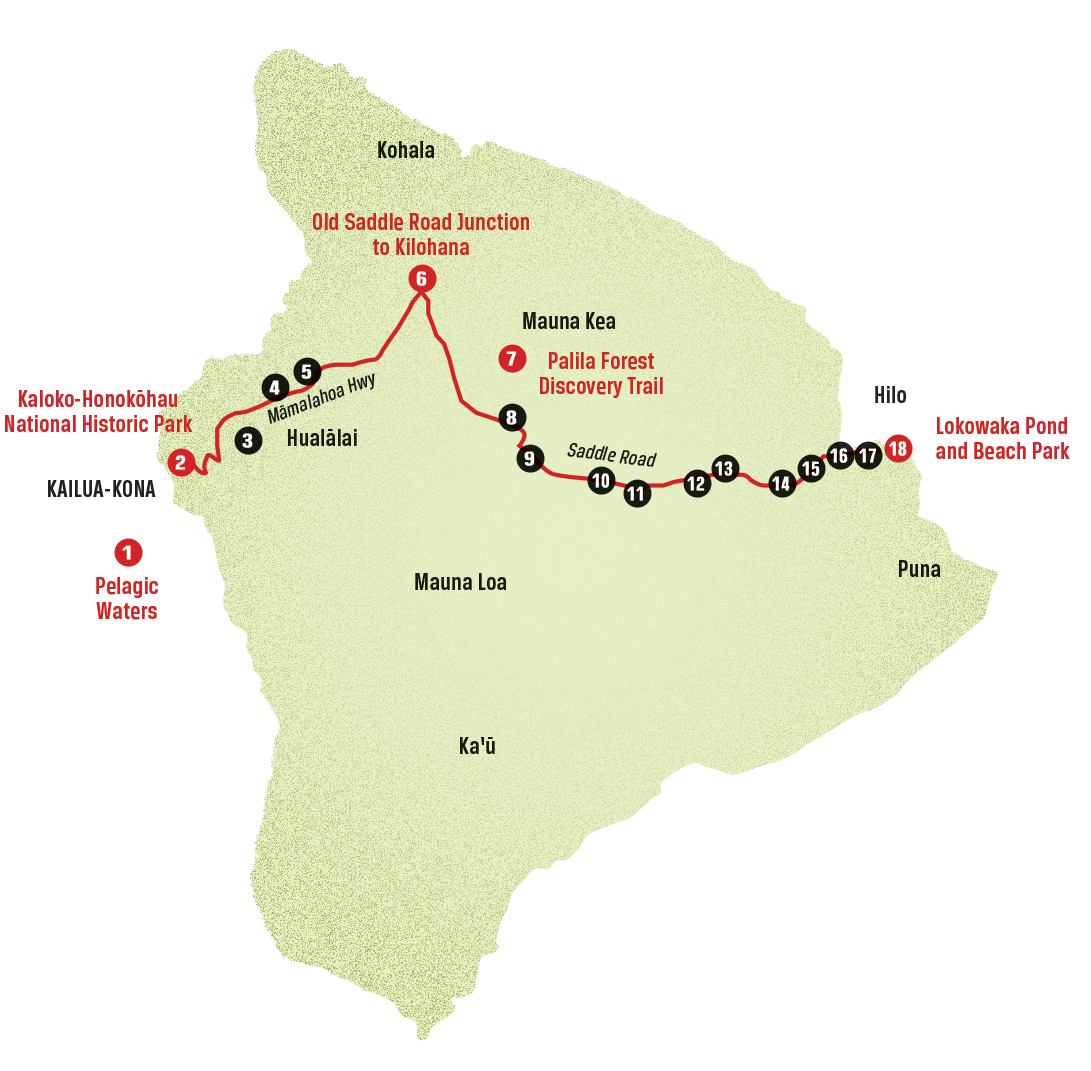 coast-to-coast birding trail hawaii