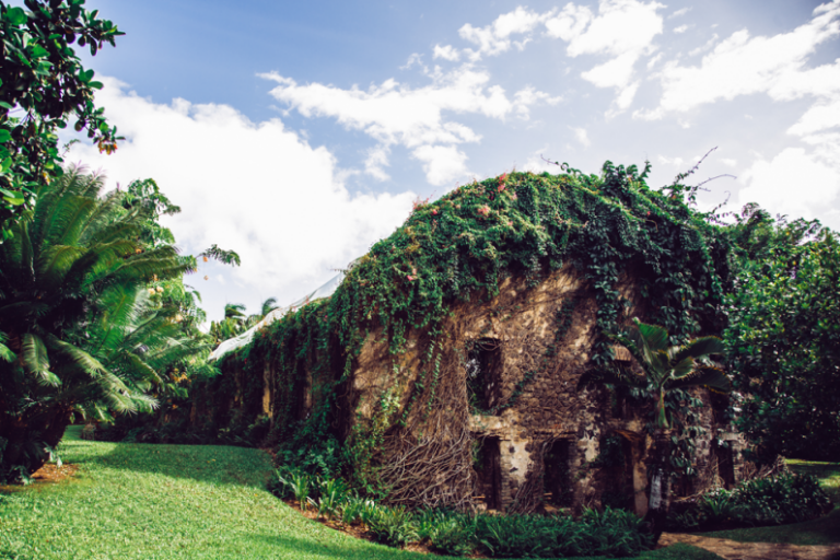 haiku mill maui tours