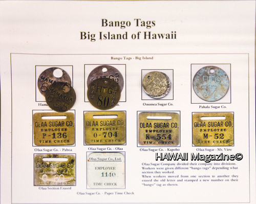Cane_Haul_Hawaii_Plantation_Museum_Sugar_Hilo