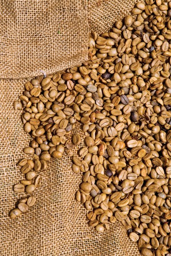 Hawaii_Big Island_Kau_coffee_festival_farm_competition