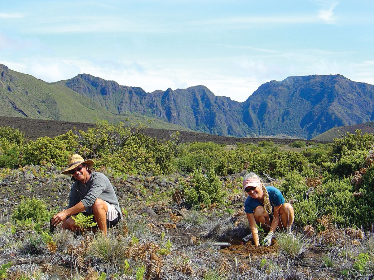 friends of haleakala national park