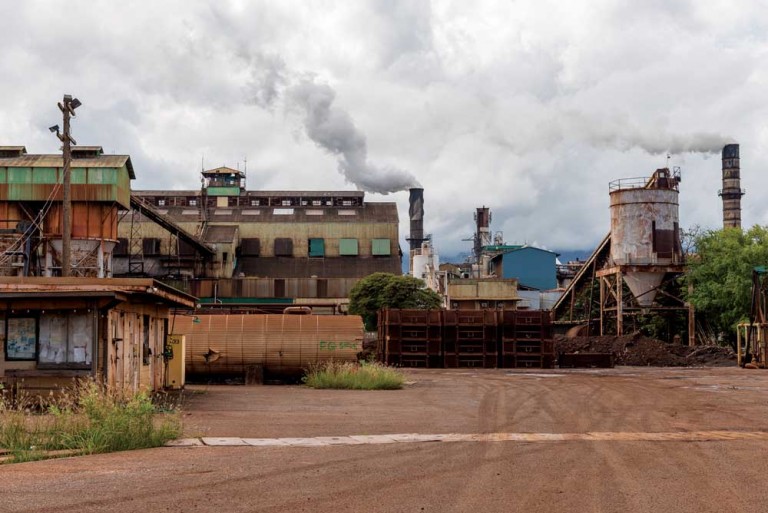 sugar plantations hawaii
