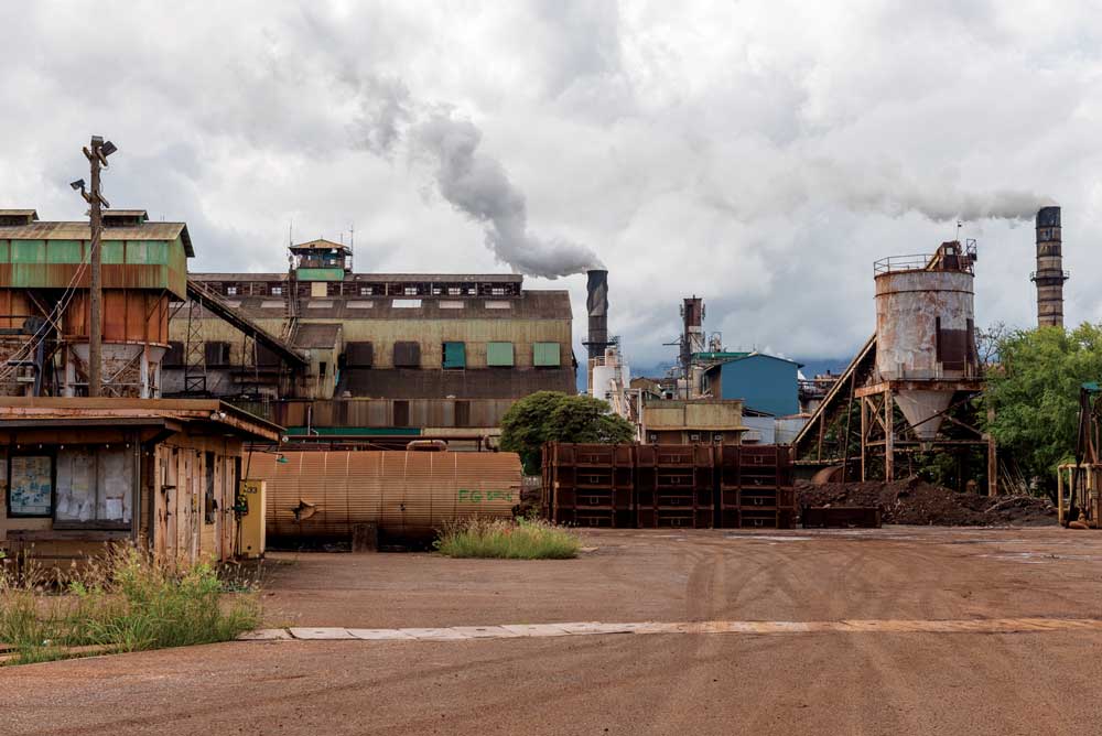 sugar plantations hawaii