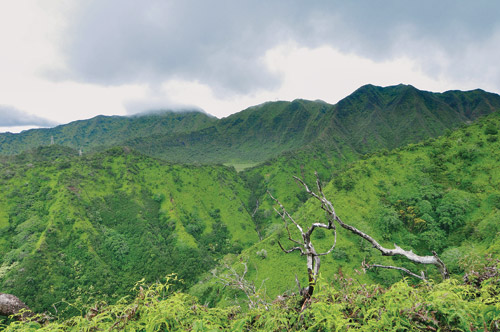 hawaii_magazine_great_hawaii_hiking_trails hawaii_magazine_great_hawaii_hiking_trails