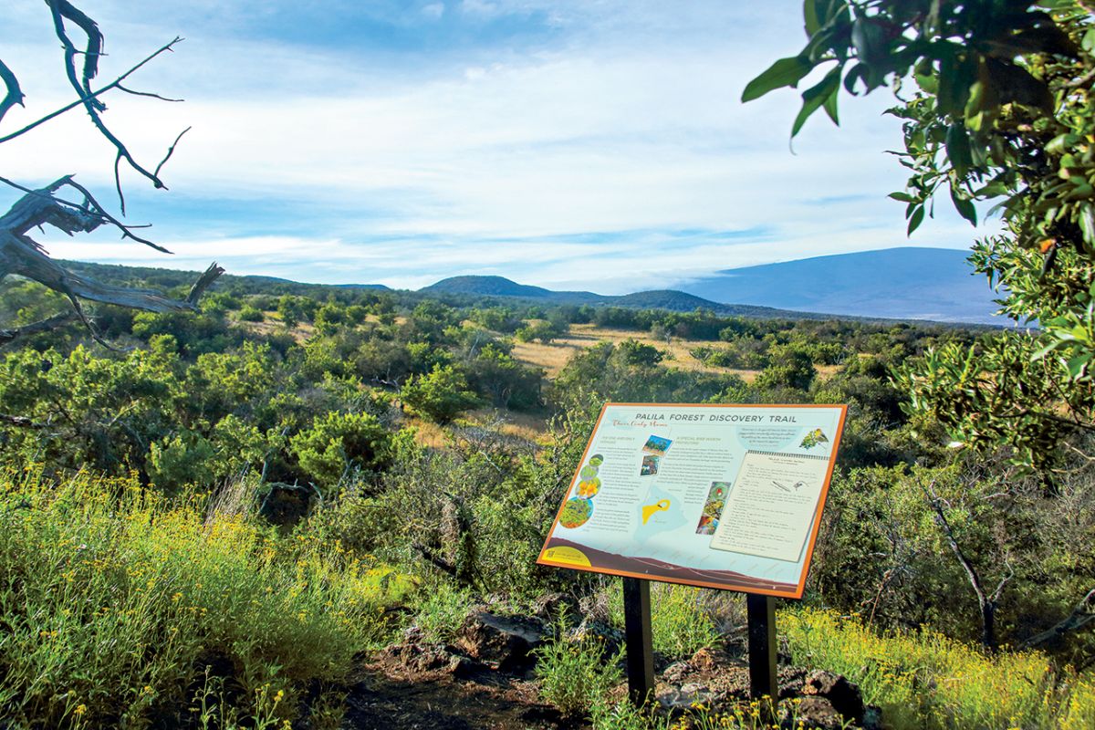 coast-to-coast birding trail