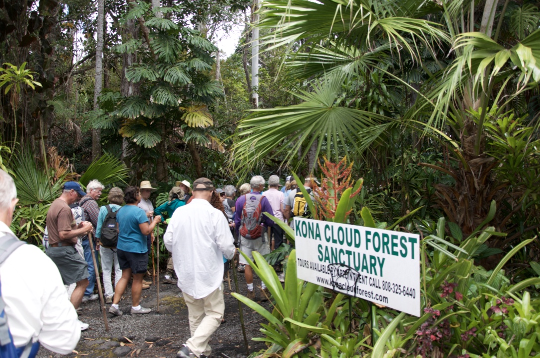 kona cloud forest hawaii