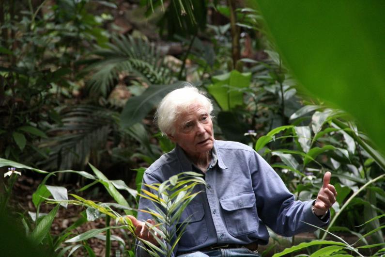 Even Though the Whole World is Burning