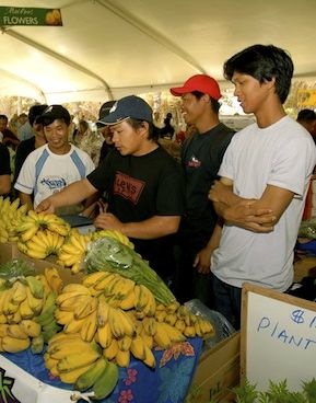 Hawaii_Maui_County_Agricultural_Festival_Waikapu