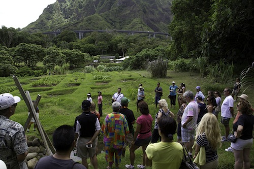 Hawaii_Oahu_Maui_culinary_wine_festival