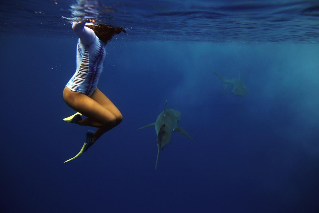 Freedive+Sharks+Hawaii