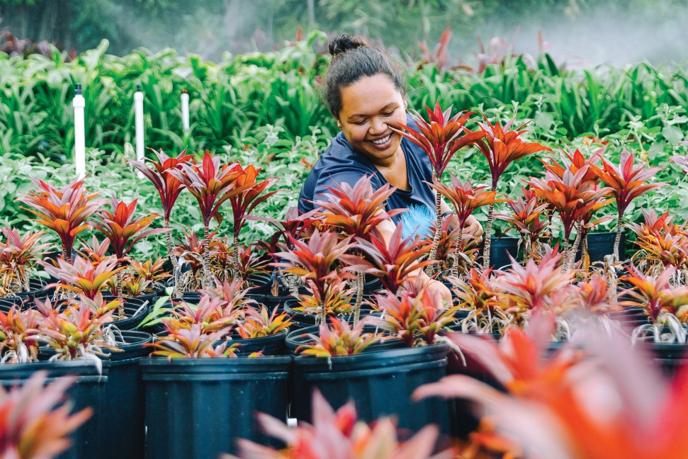 HHR-10-16-Featured-Nursery