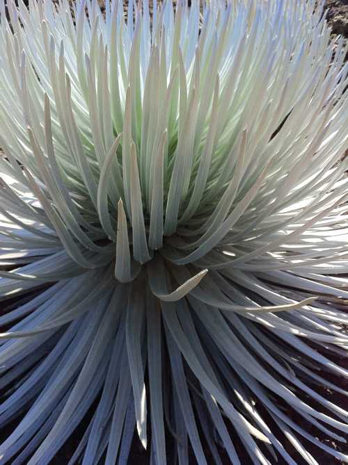 haleakala_crater_hike_hawaii_maui_sliding_sands