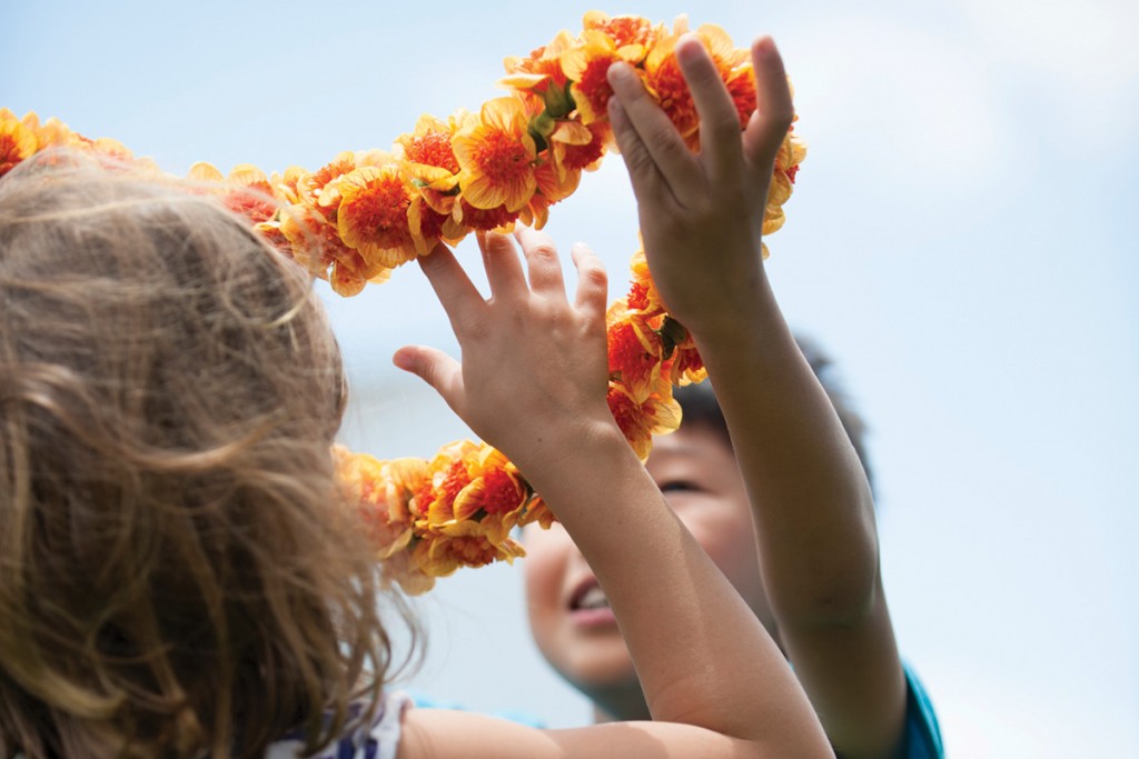 Hawaii Community Foundation