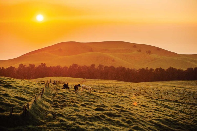 Hawaii-Magazine---Blake-Abes-Kahua-Ranch