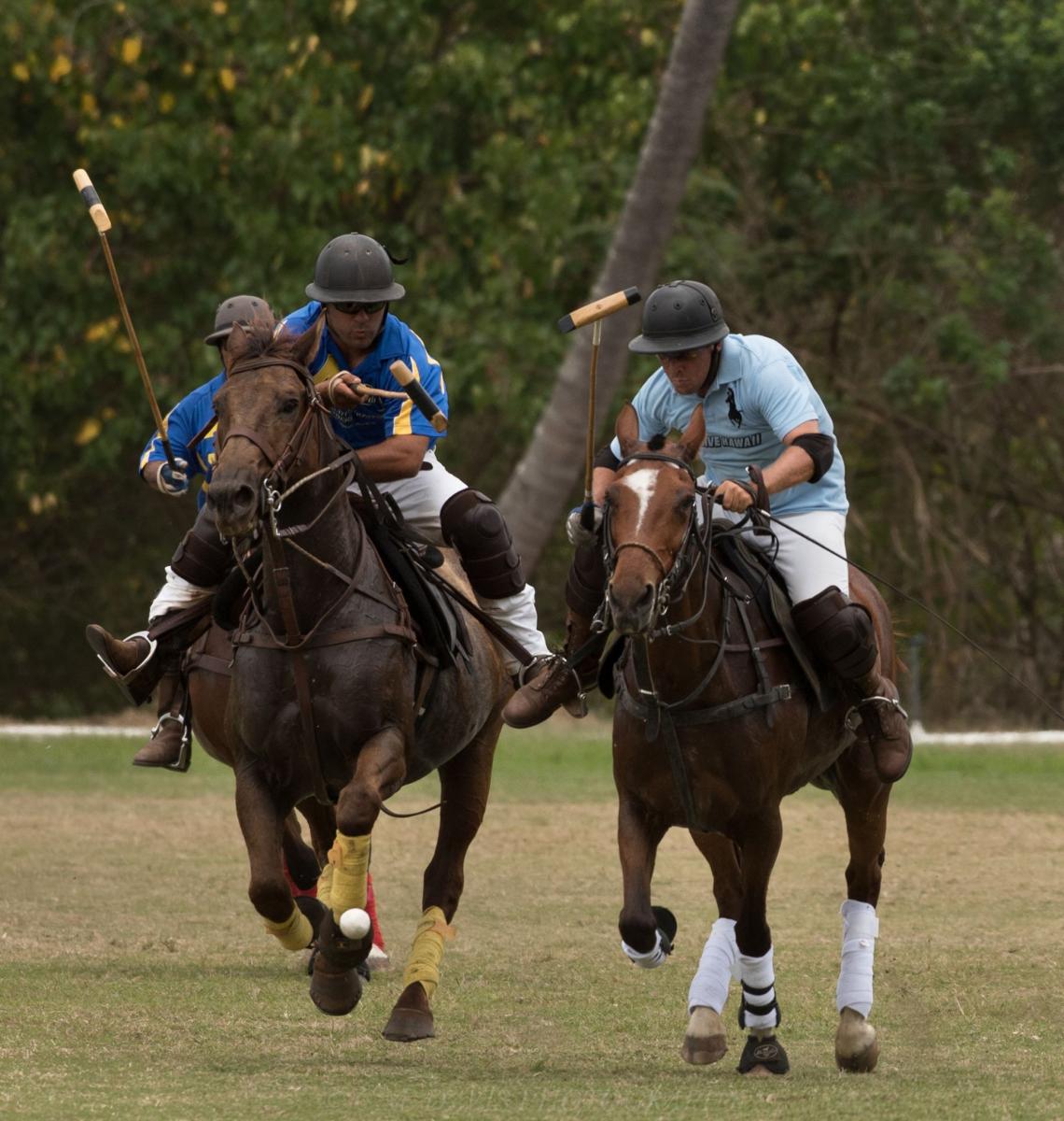 north shore oahu polo game