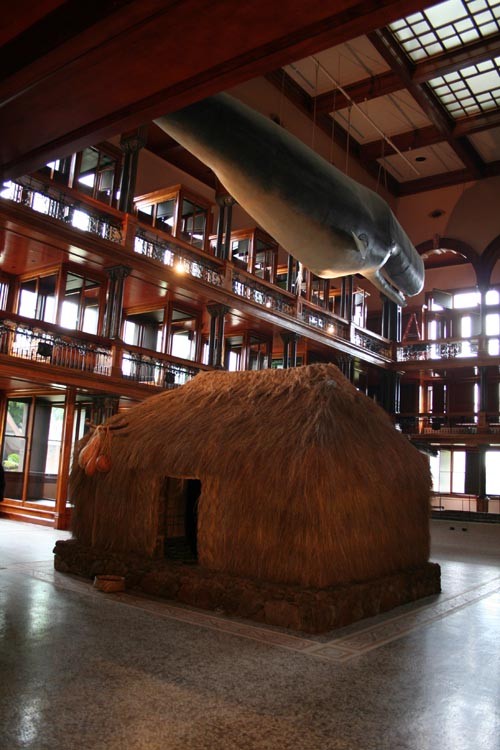 Bishop_Museum_Hawaiian_Hall_reopen