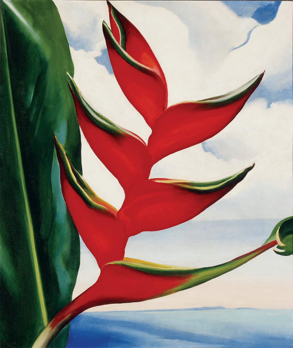 heliconia