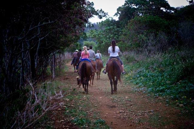 night_horseback_riding_Hawaii
