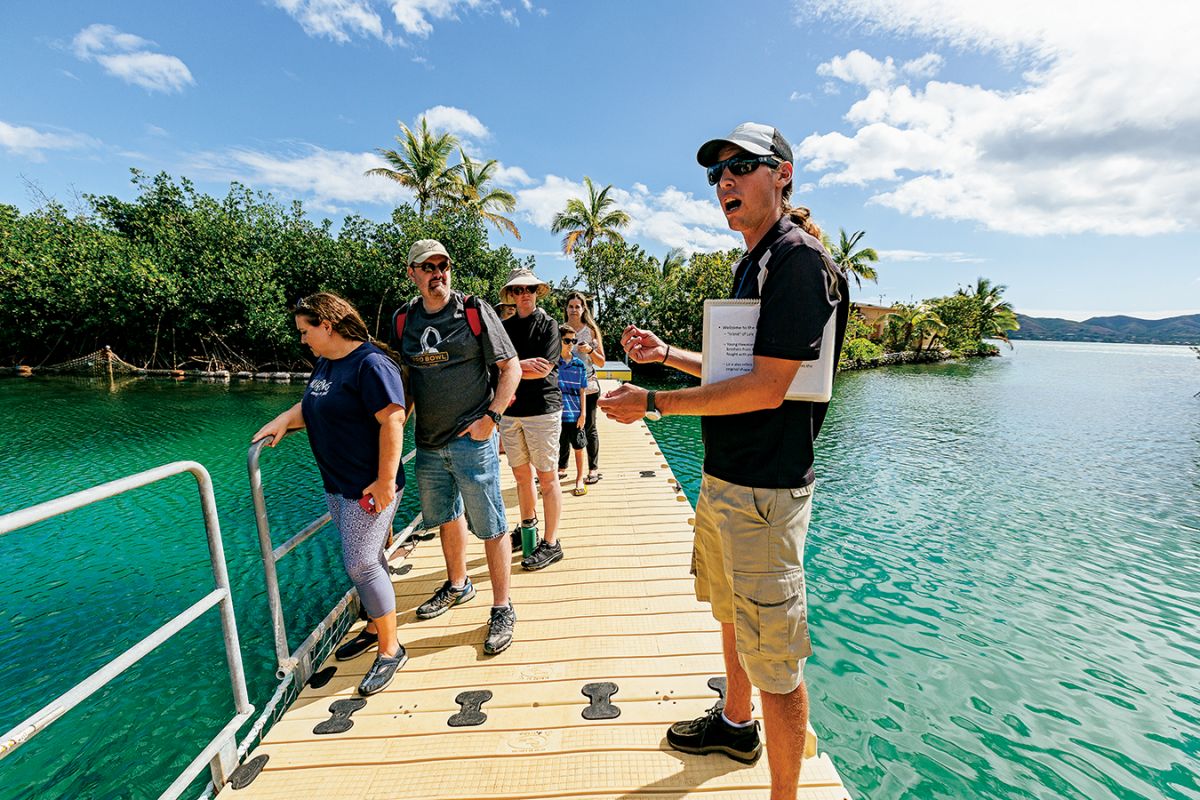 coconut island kaneohe