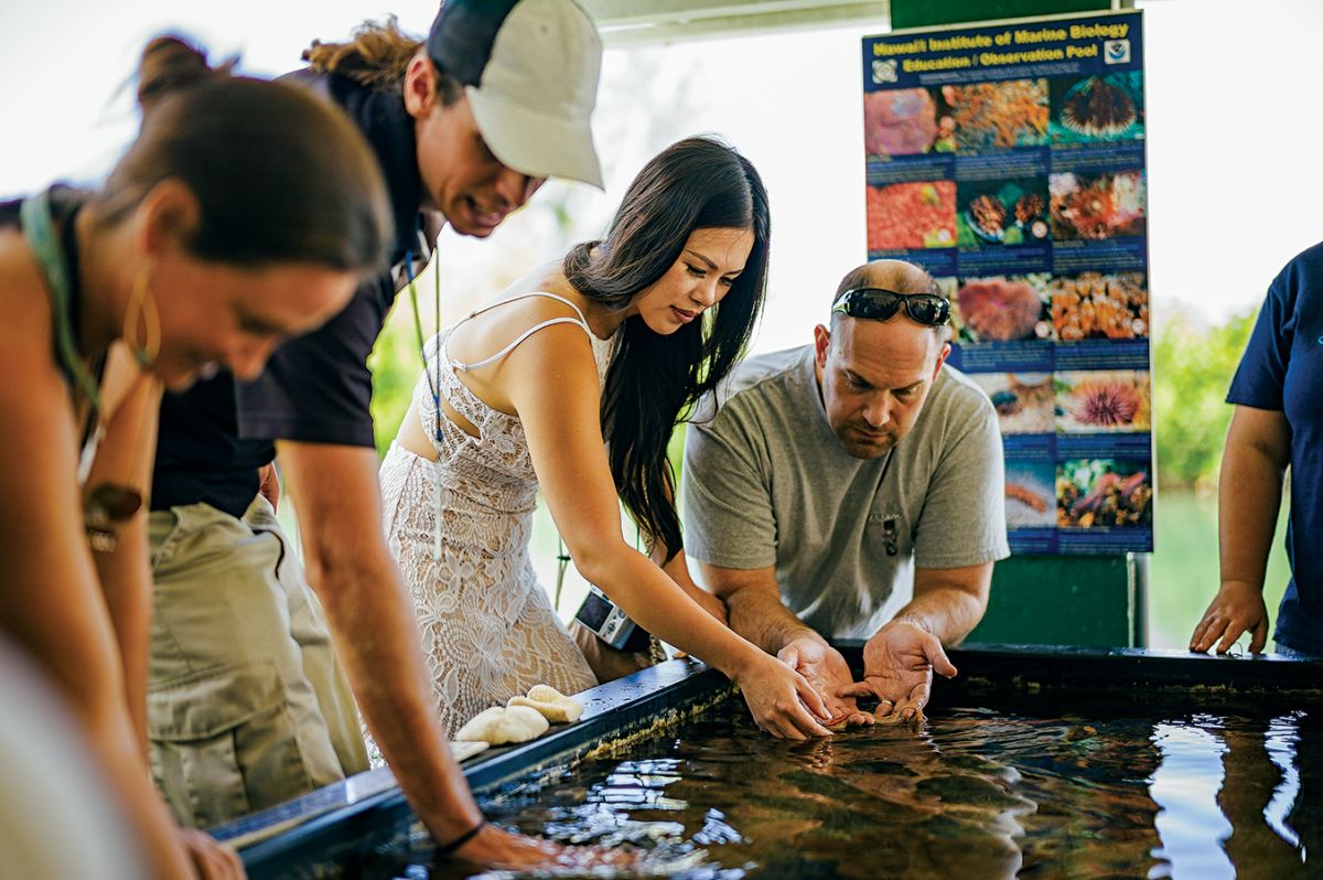 hawaii institute of marine biology