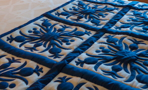 Aulani_Disney_Resort_Hawaii_Hard_Hat_Tour