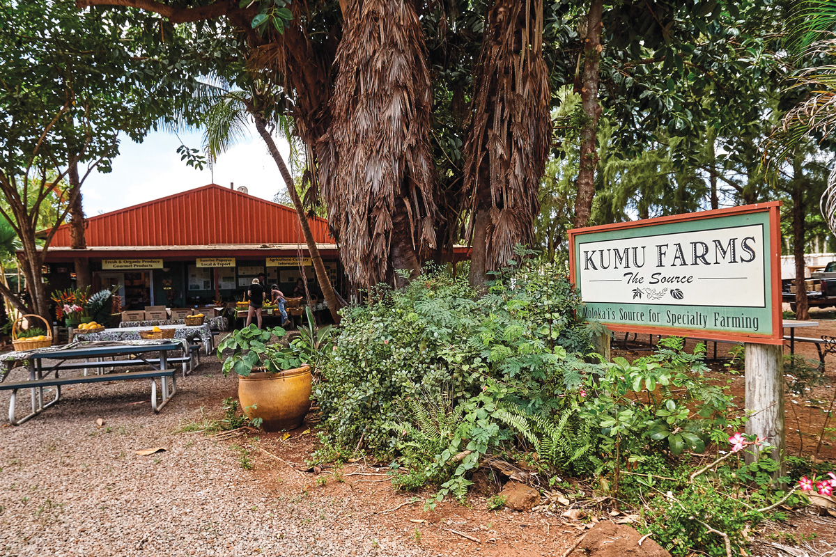 kumu farms