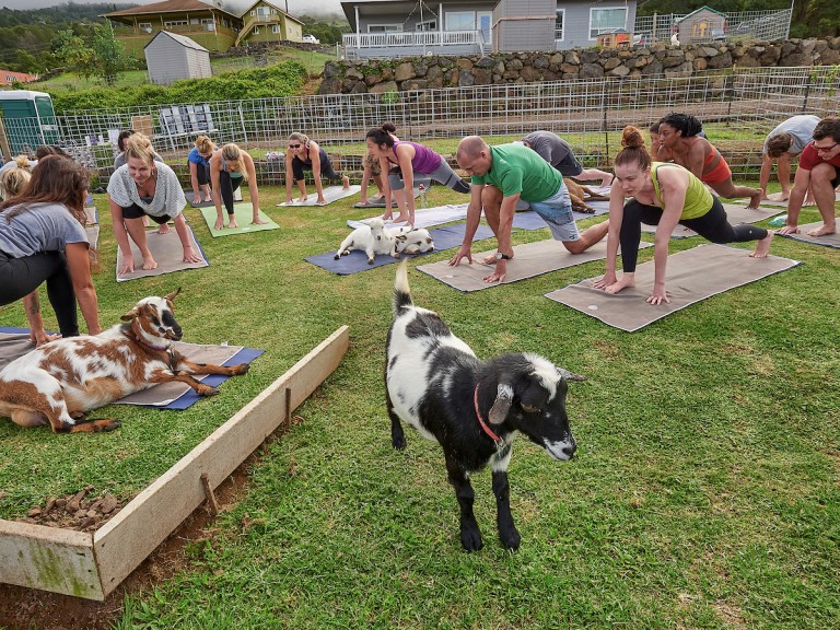 HiM1906-dc-Maui-Day2-3061