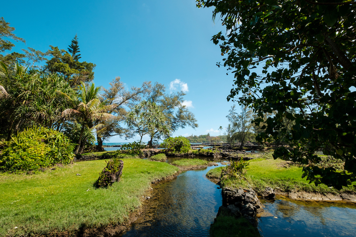  /><figcaption>Once used as a dumpsite, Hale o Lono Fishpond has made quite the recovery.<br />
<em>Photo: Aaron K. Yoshino</em></figcaption></figure>
</div>
<p><strong>When maintaining the fishpond, have you embraced modern technologies or are you sticking to traditional methods?  </strong></p>
<p>For the most part, the old science is the best science. For example, we could cement the wall so we wouldn’t have to deal with falling rocks anymore, but that’s going to disrupt the water exchange because the wall itself needs to breath. So that’s why we kept to this dry stacking method, which is a lot of work. The walls are going to crumble every time there’s a swell, but that’s part of the practice. And now I’m really good at dry stacking. But for the sluice gates, we use metal, cement culverts and galvanized meshing because wood would always crumble. We also use instruments to measure the quality of water. Before, our <em>kūpuna</em> (ancestors) could sit here all day every day and name all of the changes to the water, but we’re not here all day every day, as much as we’d love to be. So these instruments help us collect data and make sure that everything is stable.</p>
<p><strong>And how can visitors and residents get involved with Hale o Lono Fishpond? </strong></p>
<p>Our monthly community workdays are the best days for visitors to come. First things first, we get to work rebuilding the wall or clearing debris, but after that we provide lunch and answer questions. And the feeling of getting work done in a place that’s special to the natives of the area, I think that is really special. And for us, it’s all about the intention of the visitors. If you bring good intentions, we are happy to have you.</p>
<p><em>You can find out when the monthly Hale o Lono Fishpond community workdays are being held by visiting the Edith Kanakaʻole Foundation’s online calendar, <a href=