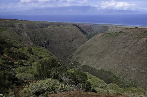 Hawaii_Lanai_Ellison_sustainability