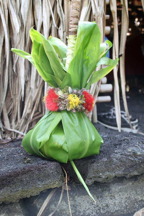 Hawaii_Volcano_hula_plants_seminar
