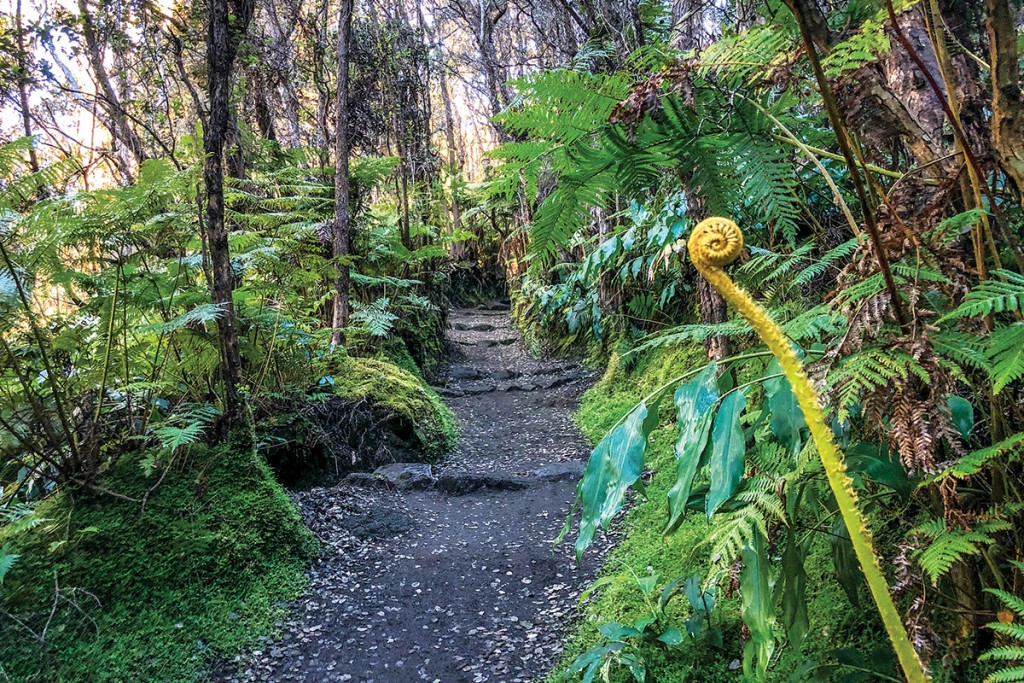 IH Hawaii Kilauea Iki 1