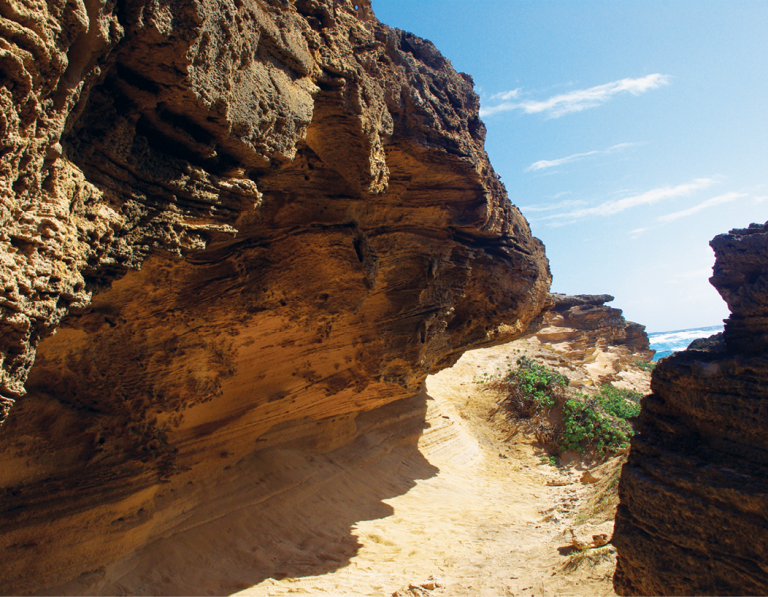 IMGP6124_06-11-2011-033512