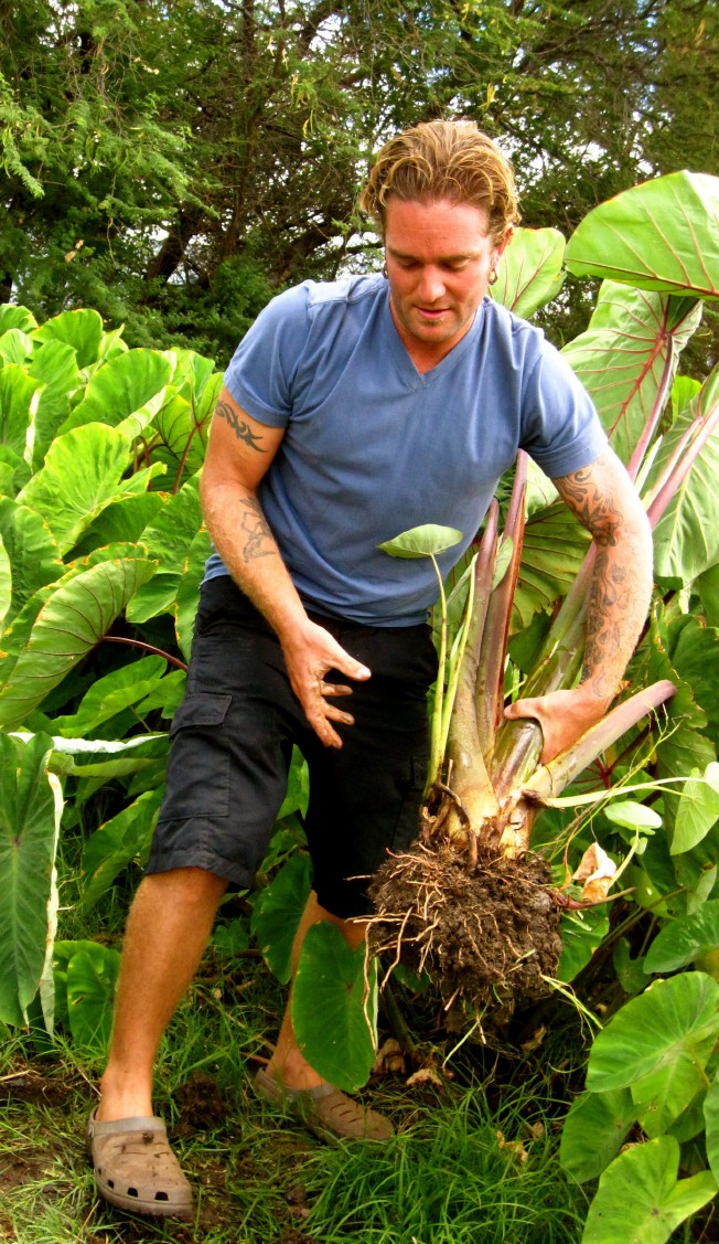 same_day_farm_to_table_Oahu_Waianae_Coast