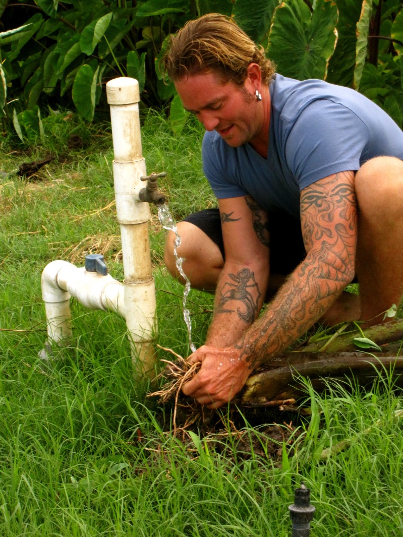 same_day_farm_to_table_Oahu_Waianae_Coast