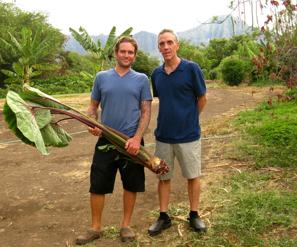 same_day_farm_to_table_Oahu_Waianae_Coast