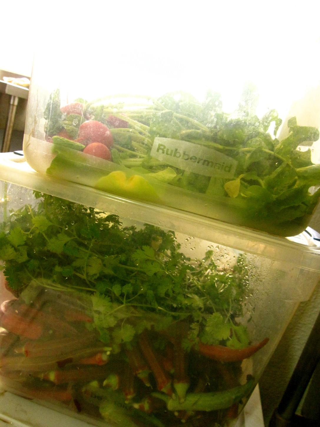 same_day_farm_to_table_Oahu_Waianae_Coast